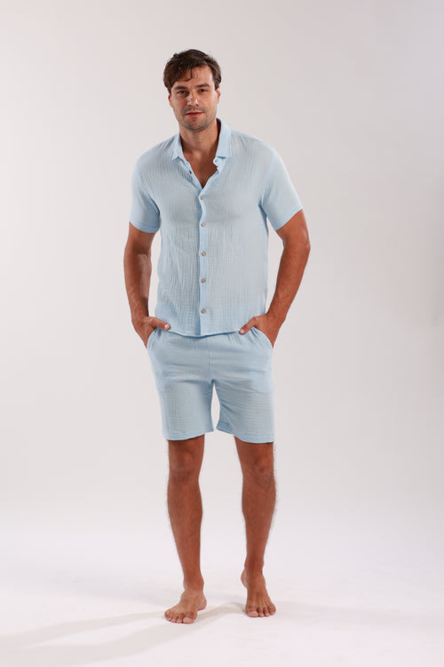 ARTESA BLUE MENS SHORTS