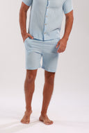 ARTESA BLUE MENS SHORTS